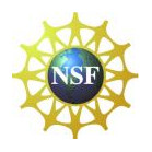 link to NSF